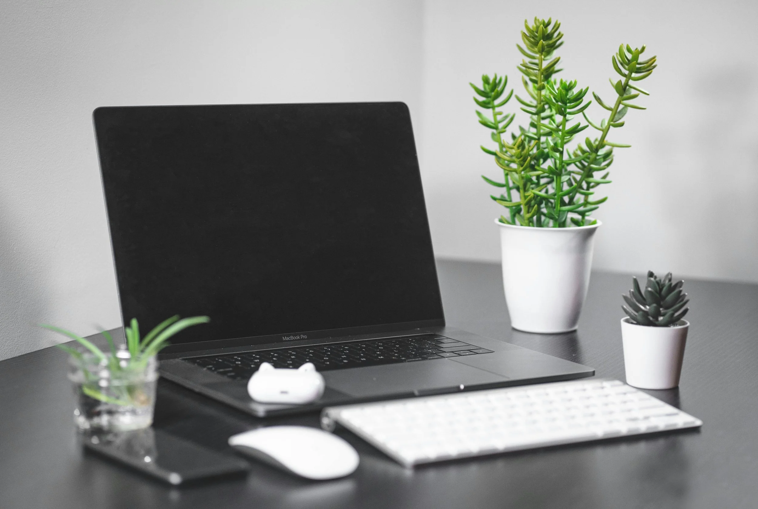 A laptop, wireless keyboard and mouse on a dark desk beside two potted plants